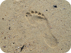 Footprints are let everywhere, we will find the footsteps left by the greats and give it to you on a easy to understand story.