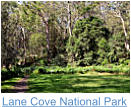 Lane Cove National Park