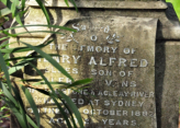 Cammeray Cemetery has lots of interesting graves