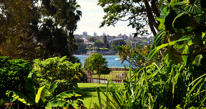 The Royal Botanic Gardens, Sydney