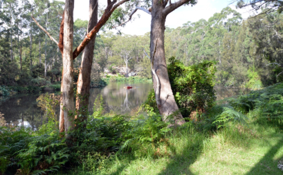 The Royal Botanic Gardens, Sydney