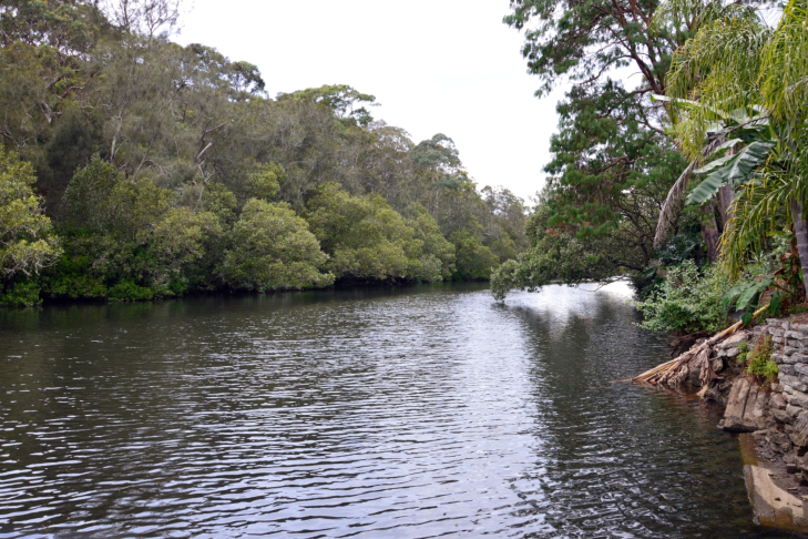 The Royal Botanic Gardens, Sydney