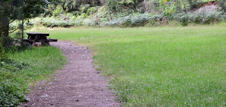 The Royal Botanic Gardens, Sydney