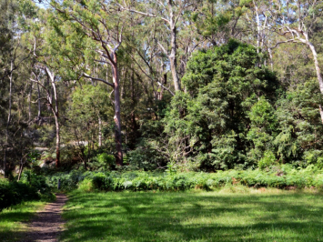 The Royal Botanic Gardens, Sydney