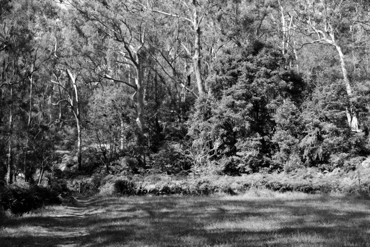 The Royal Botanic Gardens, Sydney