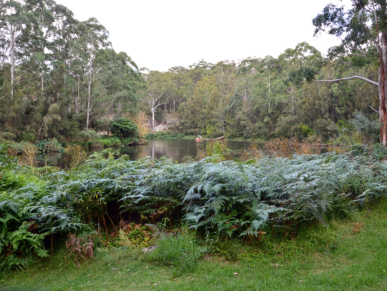 The Royal Botanic Gardens, Sydney