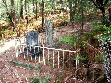 Two old Scott famiy bush graves