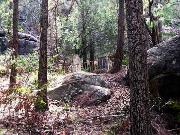 Old Scott famiy bush graves