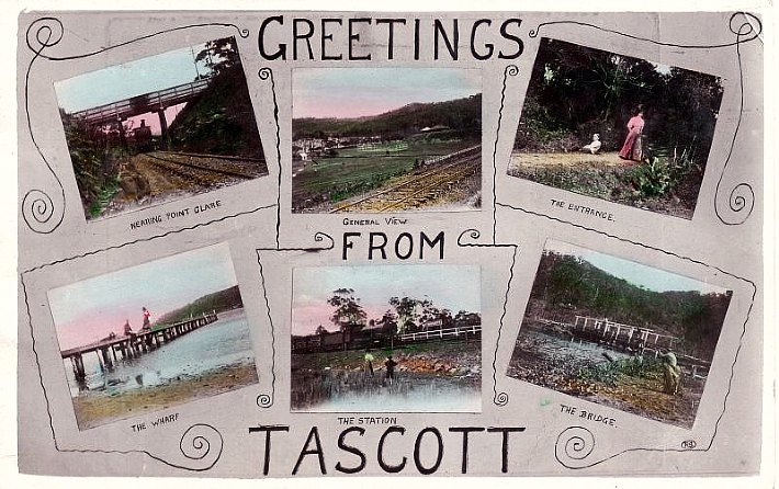 Tascott. Postcard general views c1907