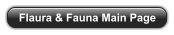 Flaura & Fauna Main Page