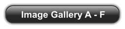 Image Gallery A - F