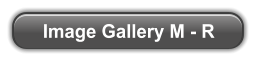 Image Gallery M - R