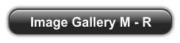 Image Gallery M - R