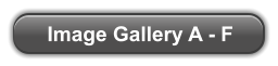Image Gallery A - F