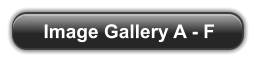 Image Gallery A - F