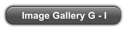 Image Gallery G - I