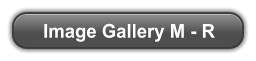 Image Gallery M - R