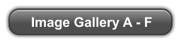 Image Gallery A - F