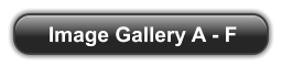 Image Gallery A - F